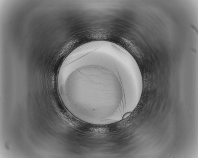 X0000097860163200804111202