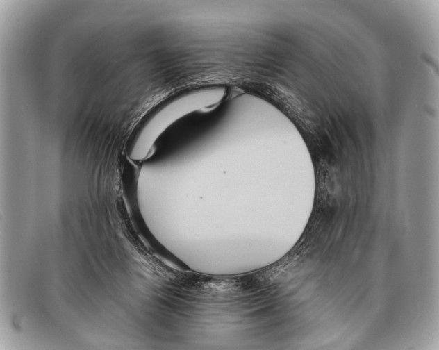 X0000097860164200804111202