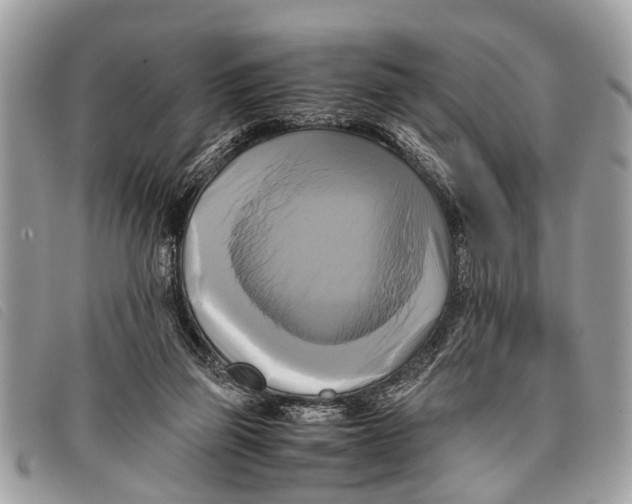 X0000097860165200804111202