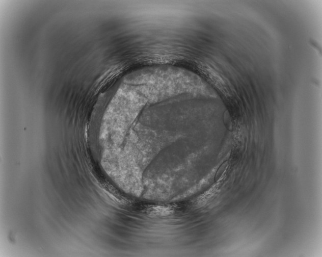 X0000097860166200804111202