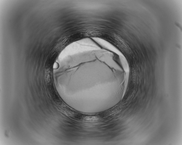 X0000097860169200804111202