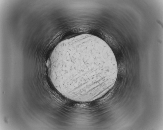 X0000097860170200804111202