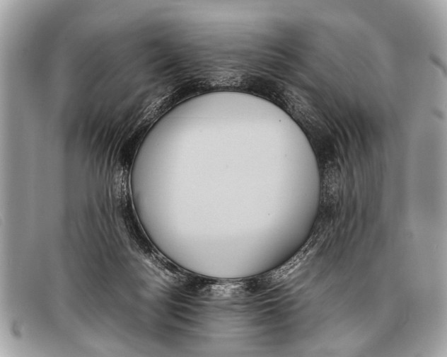 X0000097860172200804111202