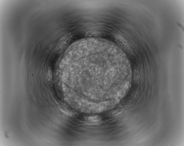 X0000097860173200804111202