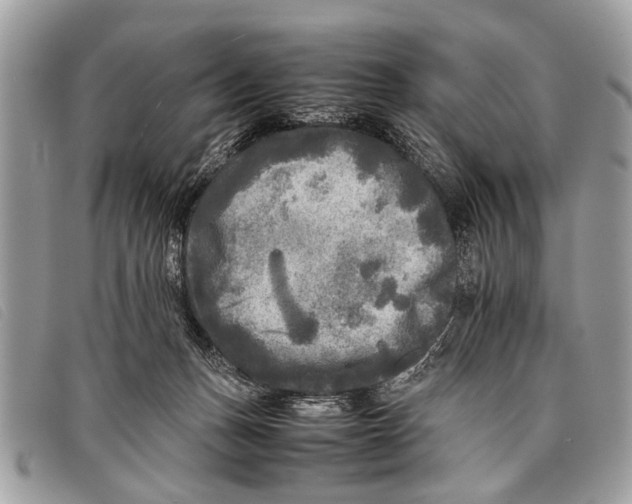 X0000097860175200804111202