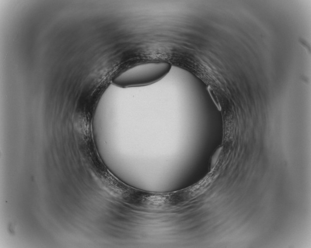 X0000097860176200804111202