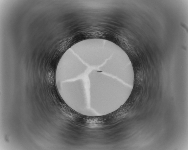 X0000097860177200804111202