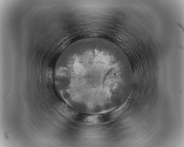 X0000097860178200804111202