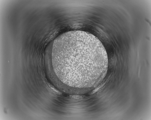 X0000097860180200804111202