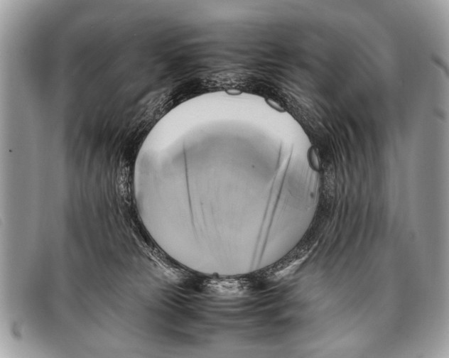 X0000097860181200804111202