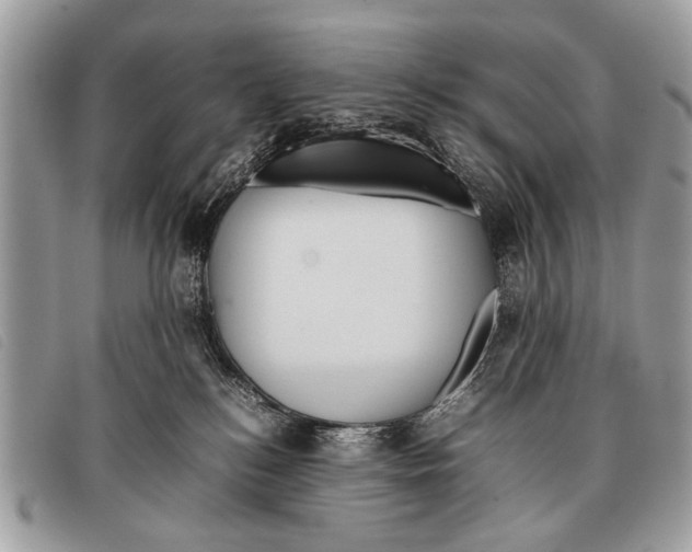 X0000097860184200804111202