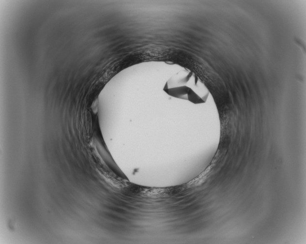 X0000097860186200804111202