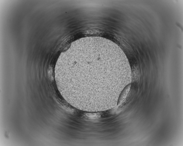 X0000097860187200804111202