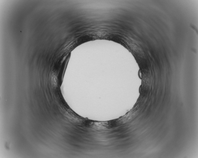 X0000097860188200804111202