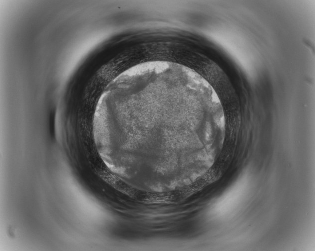 X0000097860189200804111202