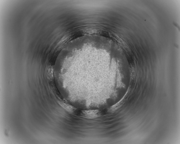 X0000097860191200804111202