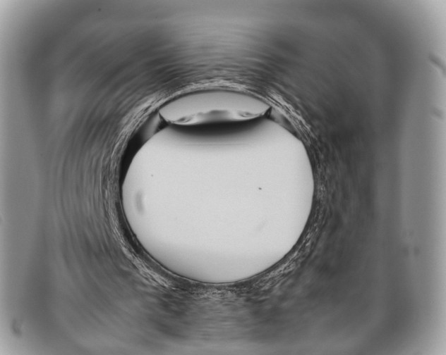 X0000097860193200804111202