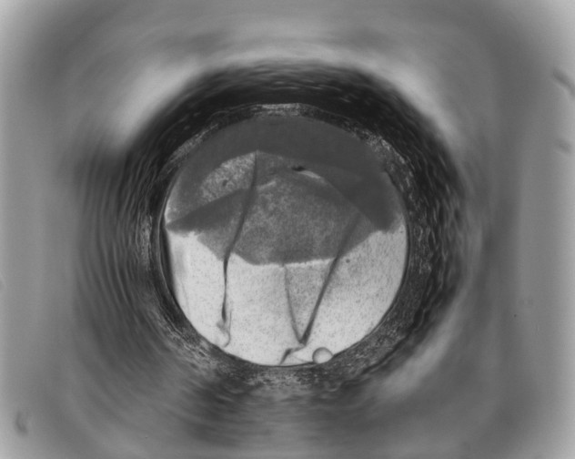 X0000097860194200804111202