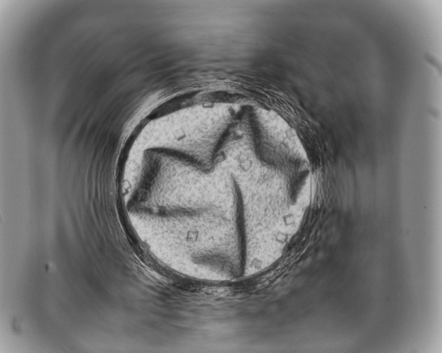 X0000097860195200804111202