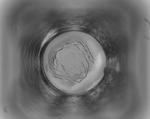 X0000097860198200804111202