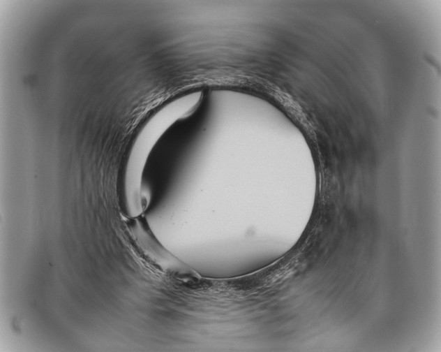 X0000097860201200804111202