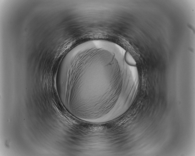 X0000097860202200804111202