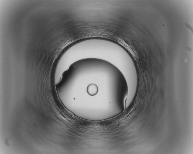 X0000097860203200804111202