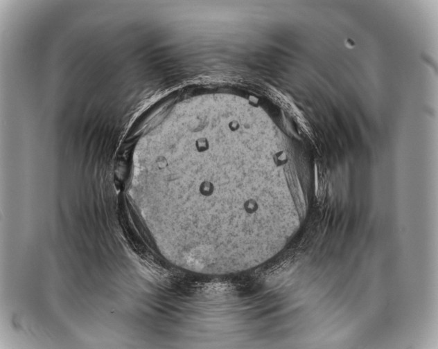 X0000097860204200804111202