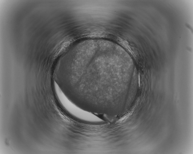 X0000097860205200804111202