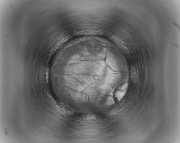 X0000097860206200804111202