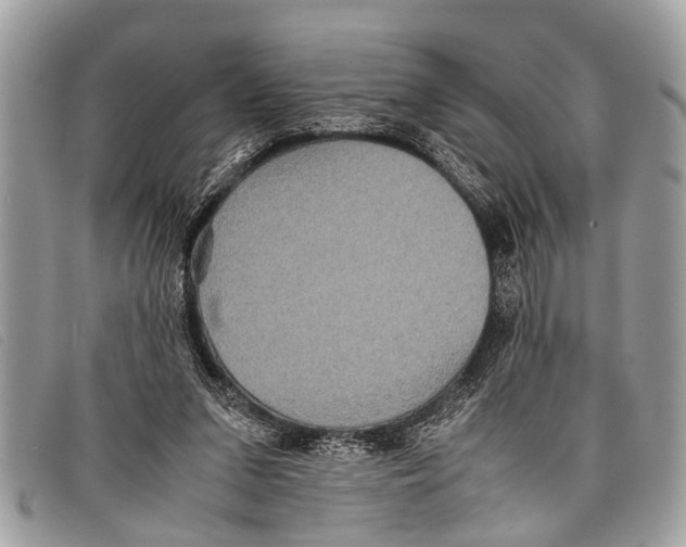 X0000097860207200804111201