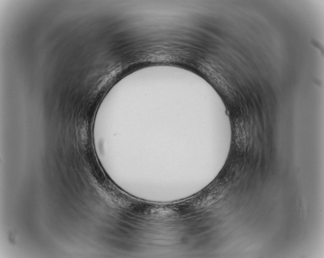 X0000097860208200804111201