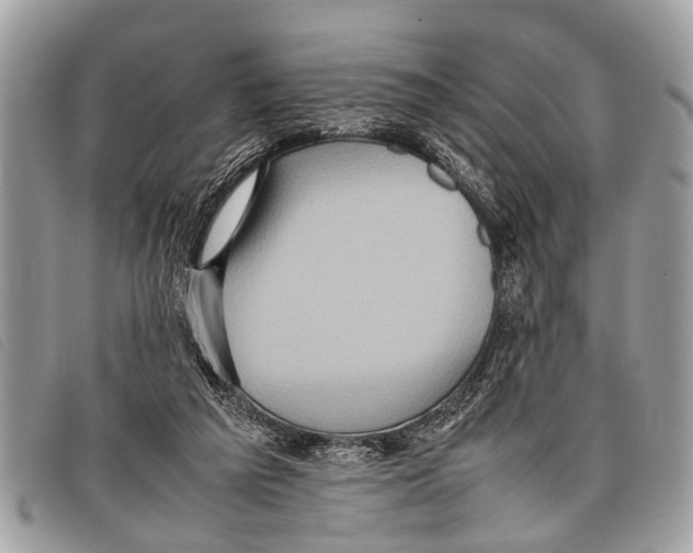 X0000097860209200804111201