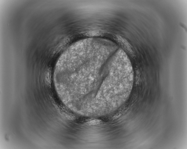 X0000097860210200804111201