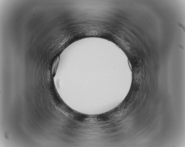 X0000097860211200804111201