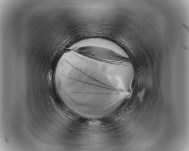 X0000097860214200804111201