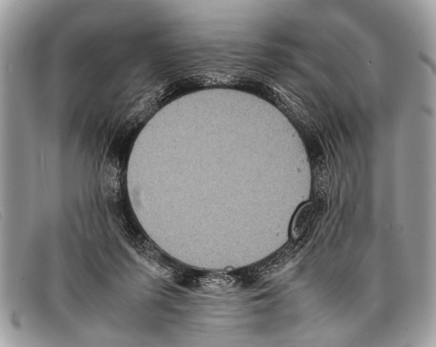 X0000097860215200804111201