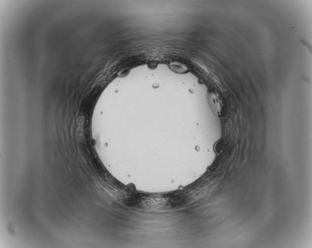 X0000097860217200804111201