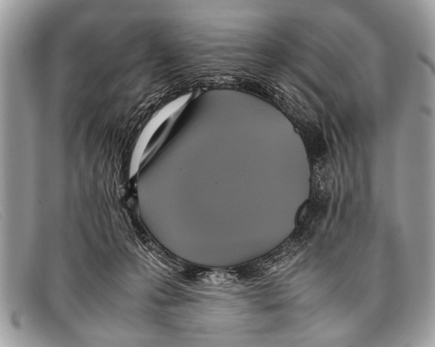 X0000097860223200804111201