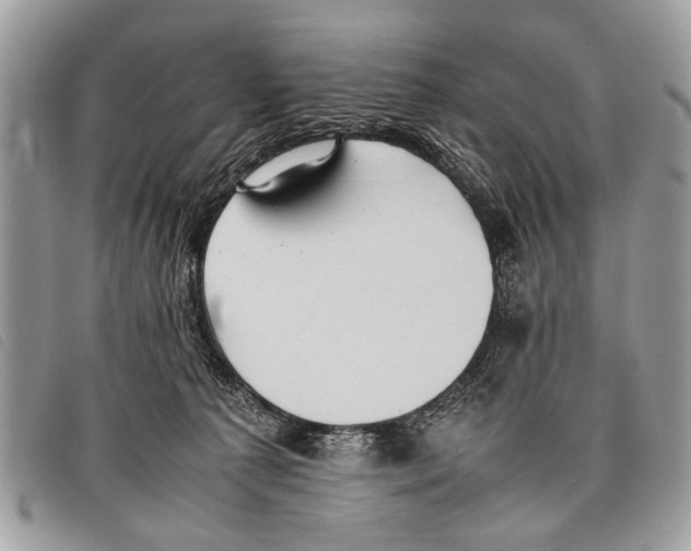 X0000097860225200804111201