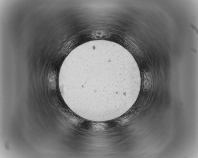 X0000097860226200804111201