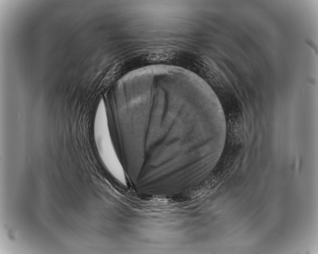 X0000097860227200804111201