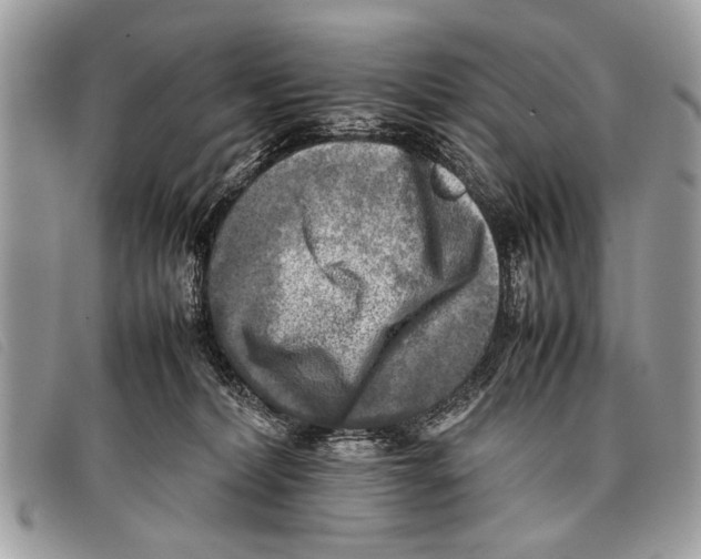 X0000097860228200804111201