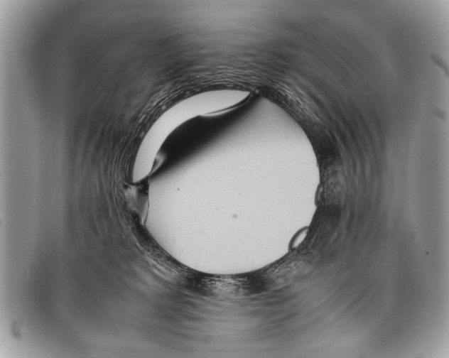 X0000097860229200804111201