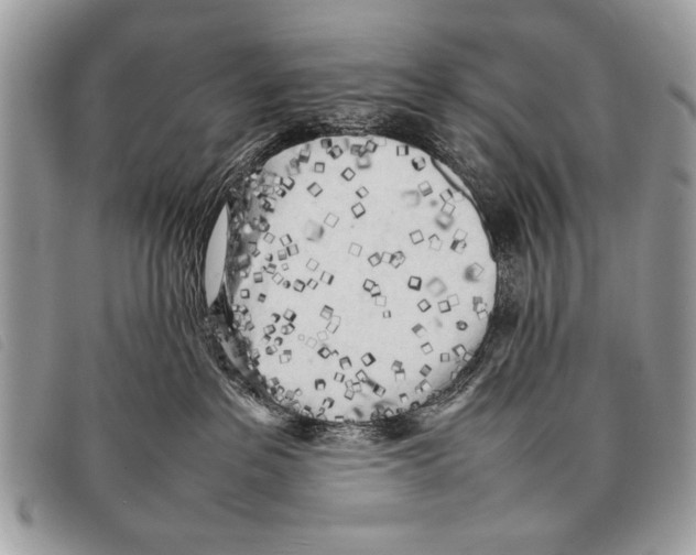 X0000097860237200804111201