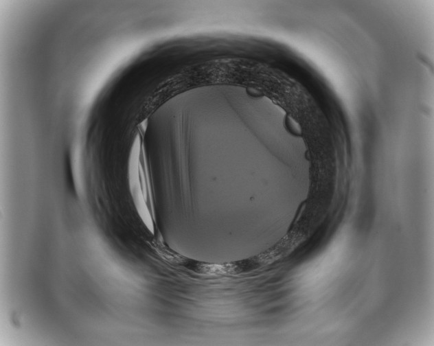 X0000097860239200804111201