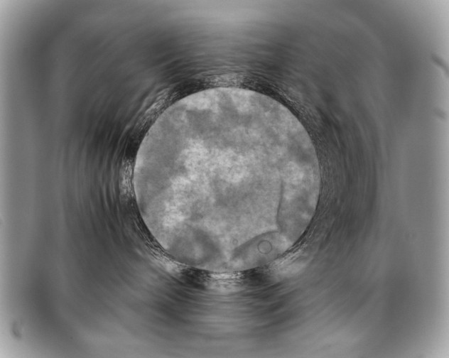 X0000097860240200804111201