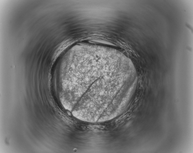 X0000097860242200804111200