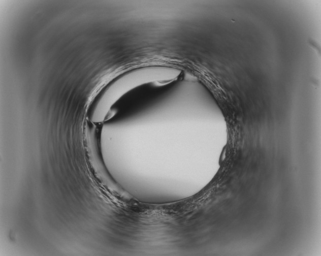 X0000097860244200804111200