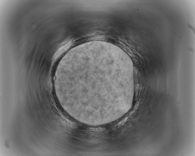 X0000097860245200804111200